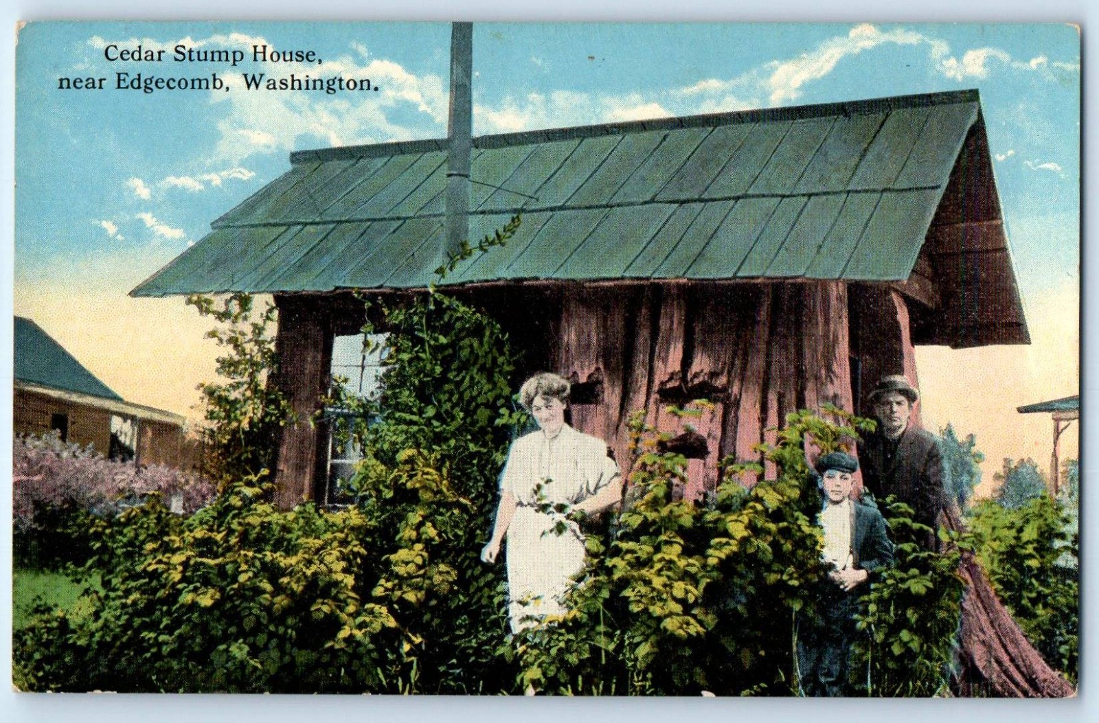 c1930's Cedar Stump House Near Edgecomb Washington WA Vintage  Postcard
