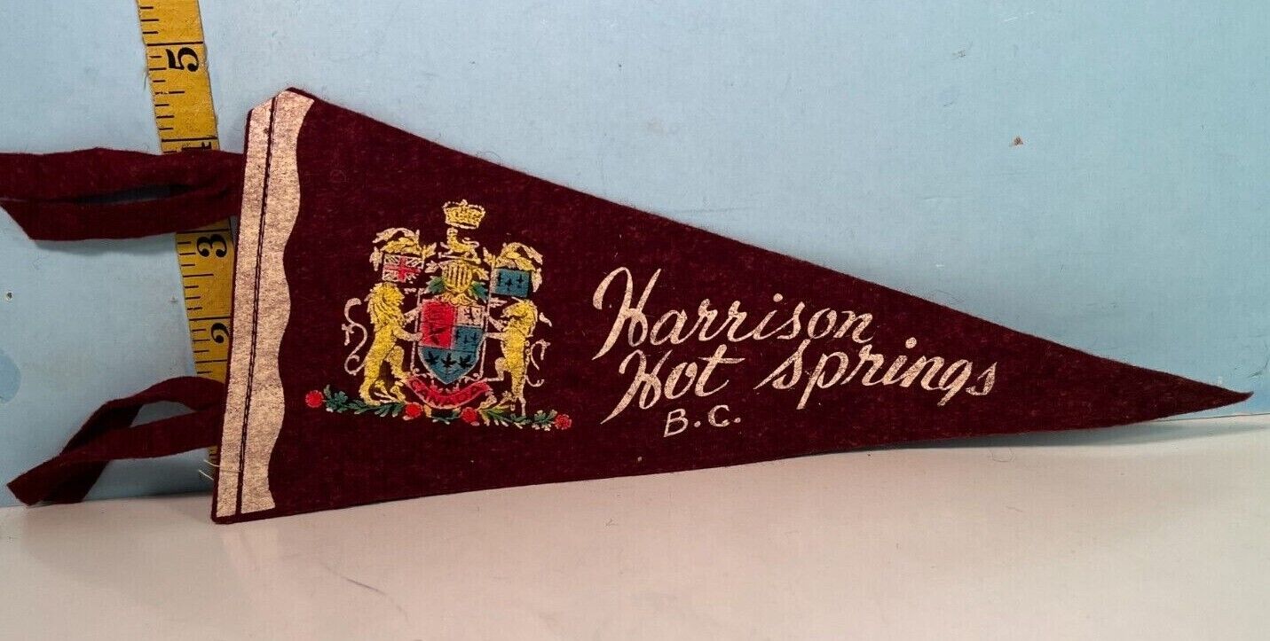 Vintage Harrison Hot Springs British Columbia Small Pennant 