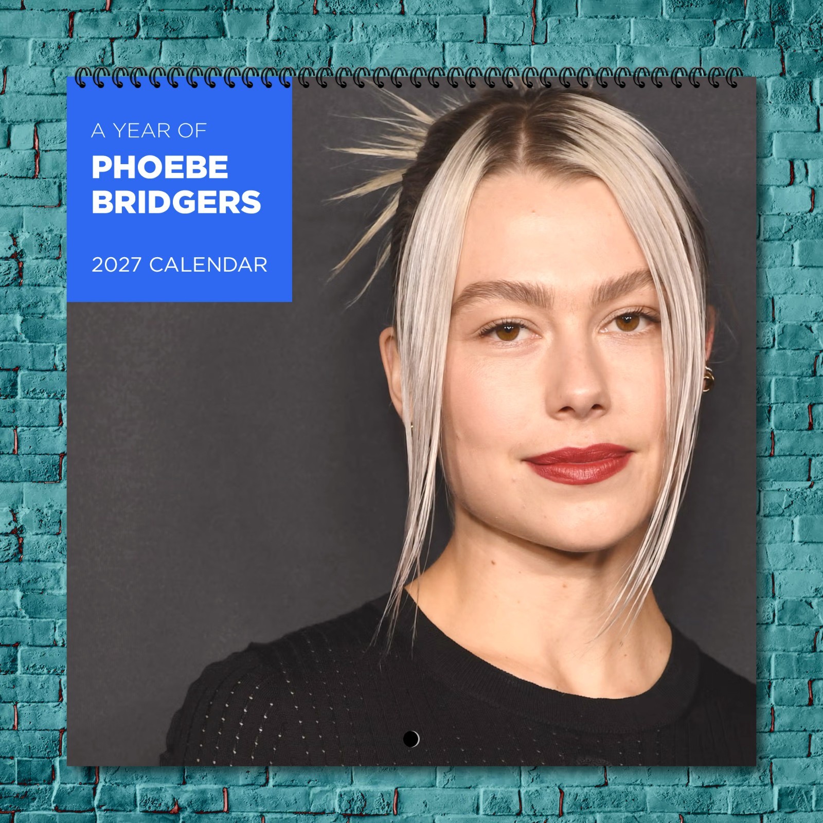 Phoebe Bridgers 2027 Wall Calendar 12 Month Celebrity Photo Fan Collectible