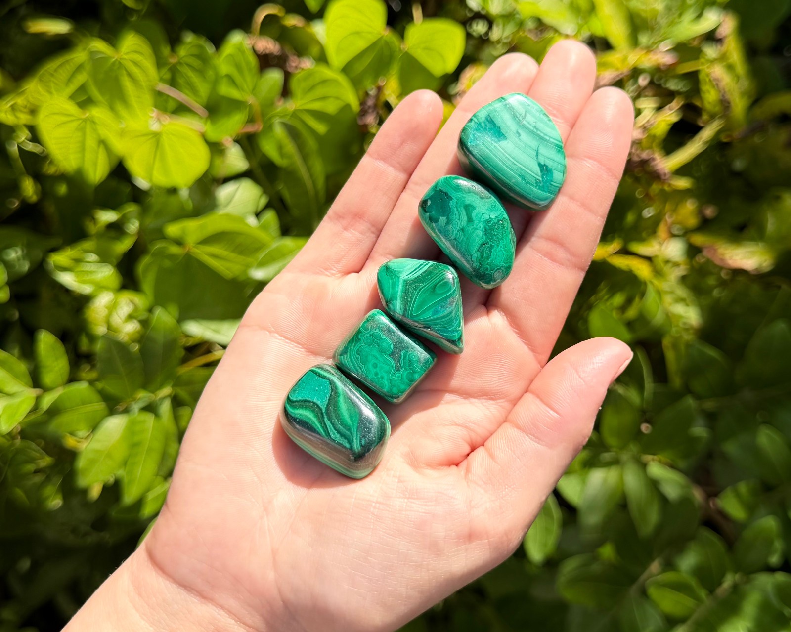 5 Malachite Tumbled Stones: 'A' Grade Natural Polished Crystals
