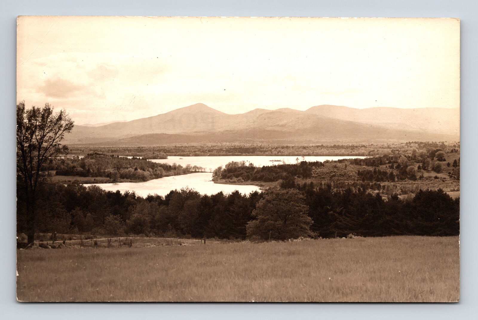 RPPC Scenic View Lower Bay from Hatch Hill Conifer Lovell Maine ME Postcard