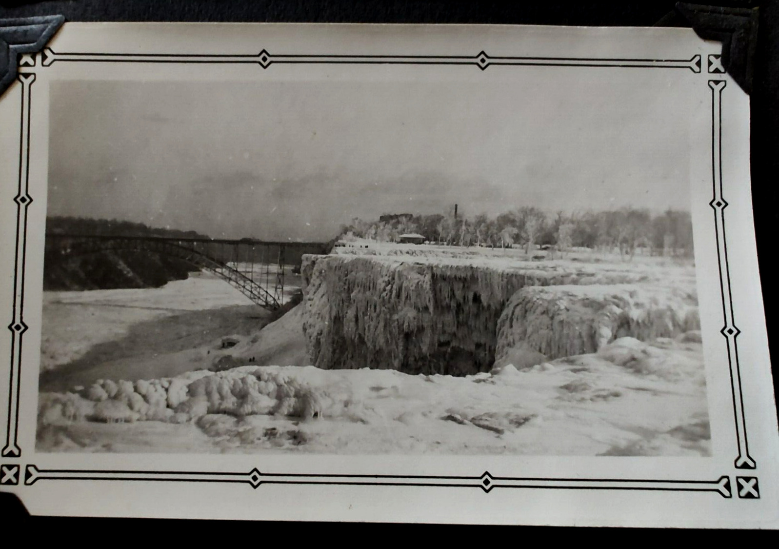 1900s Photo Album Buffalo NY Niagara Falls / Christmas Trees / Zoo / 135 Pics