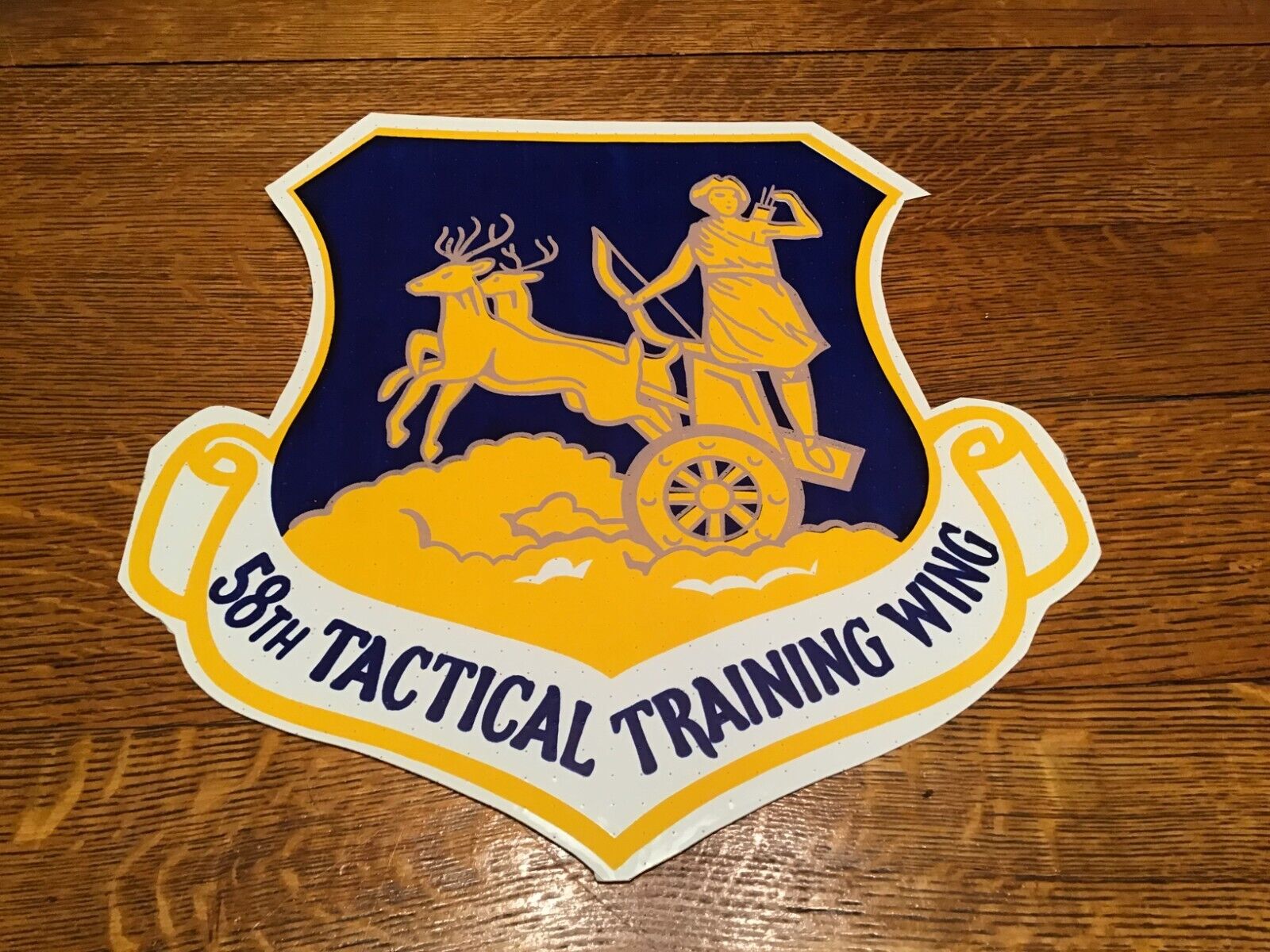 Rare Vintage USAF 58th Tactical Training Wing Squadron 10\