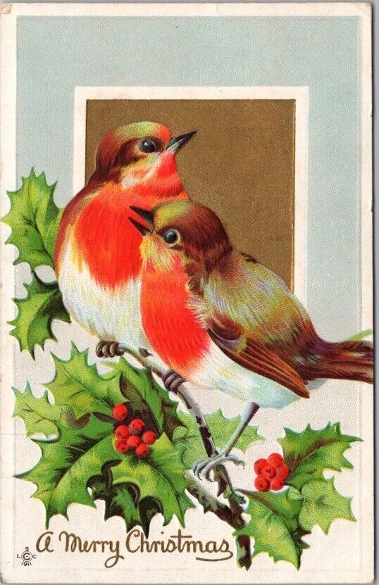 1911 MERRY CHRISTMAS Embossed Postcard Robin Birds / Holly Branch STECHER 224F