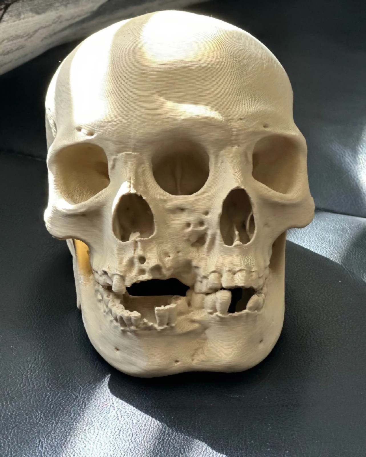 Two Faced Skull 3D Printed Two Faced Skull 3D Printed