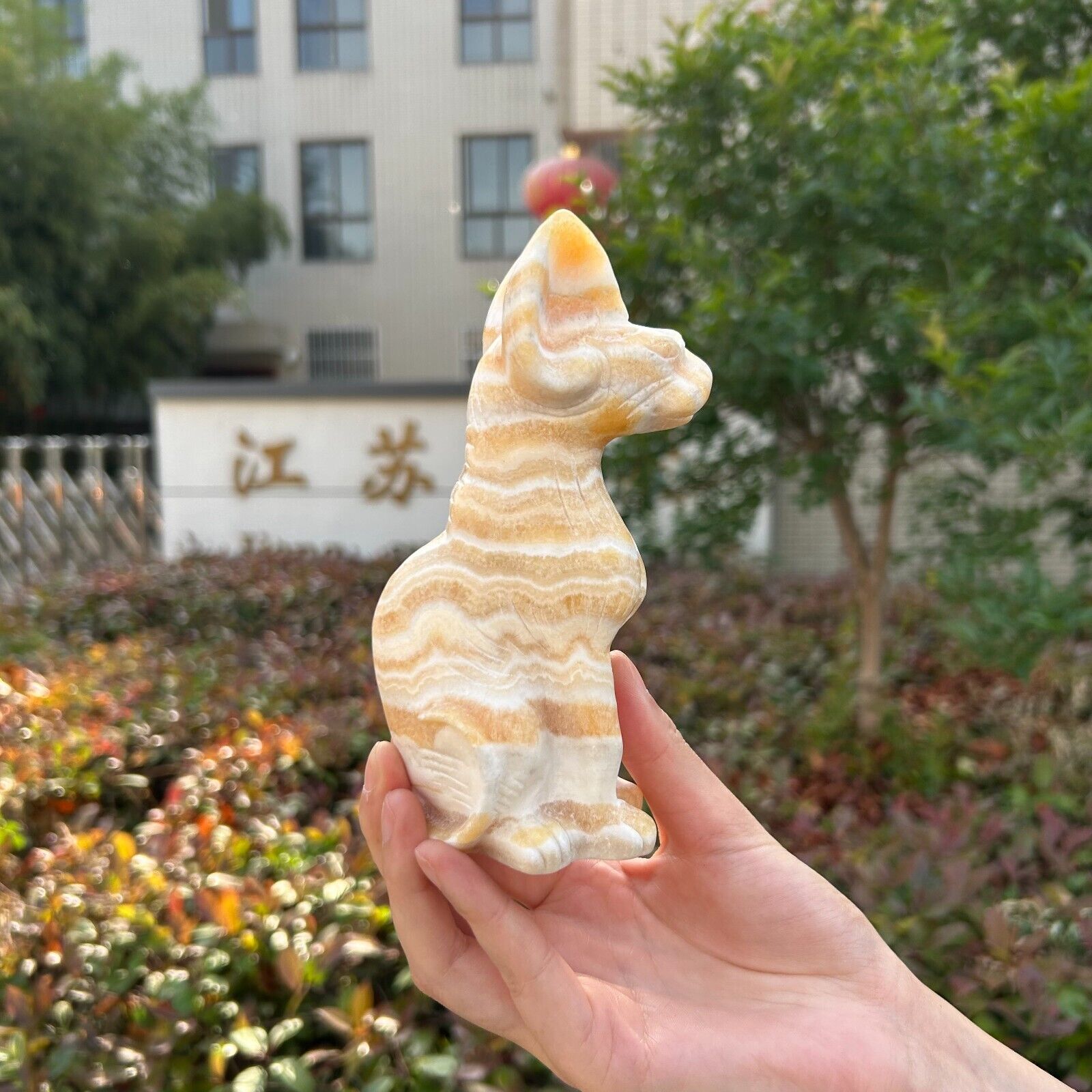 1.3LB 5.9\'\' Natural Yellow Calcite Sphynx Cat Statue Crystal Healing Gift Decor