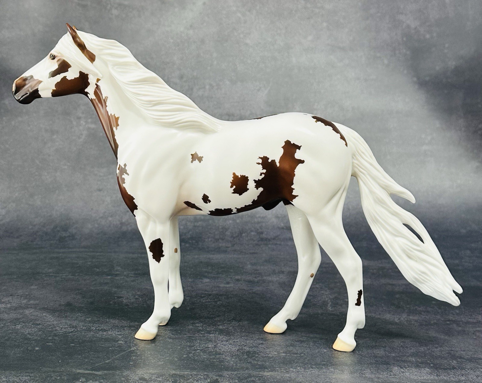 Peter Stone DAH 2018 Mustang Stallion Pinto Beautiful & Unique