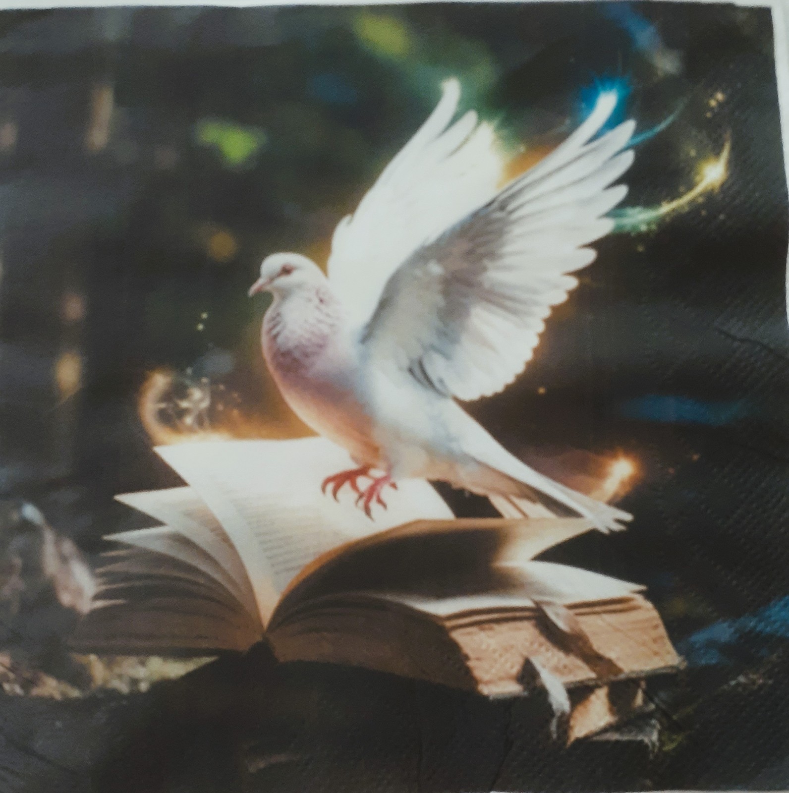 2 individual Paper Decoupage NAPKINS - ELEGANT DOVE ON BOOK 1 MOTIF 2 individual Paper Decoupage NAPKINS - ELEGANT DOVE ON BOOK 1 MOTIF