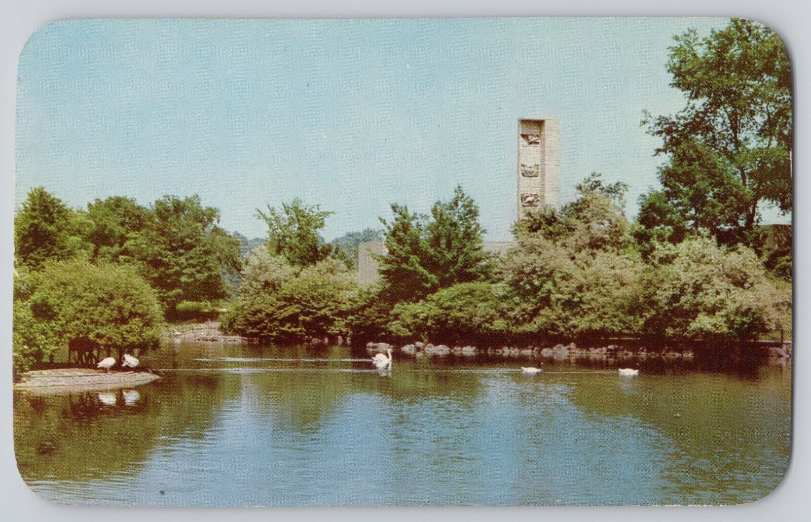 Water Fowl Sanctuary with New Bird House Cleveland Zoo Cleveland Ohio Postcard