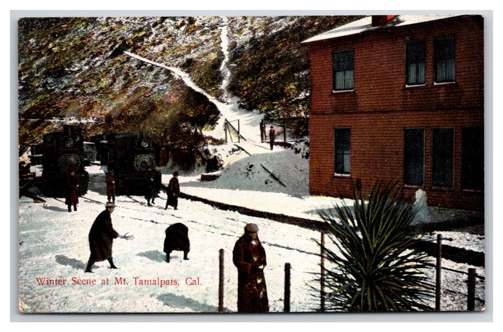 Winter Scene at Mt Tamalpais California 1908 ~Railroad locomotive marin