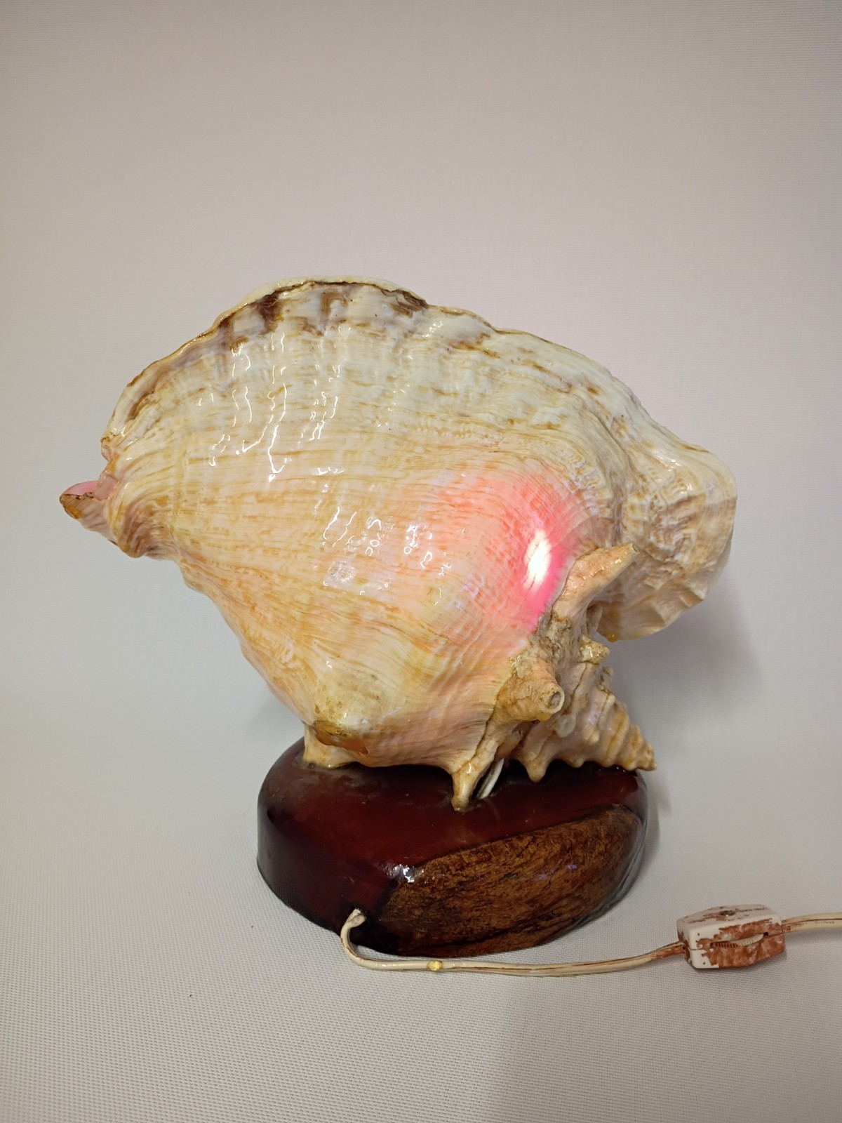 1950s  vtg seashell TV lamp souvenir beach hawaiian art sculpture