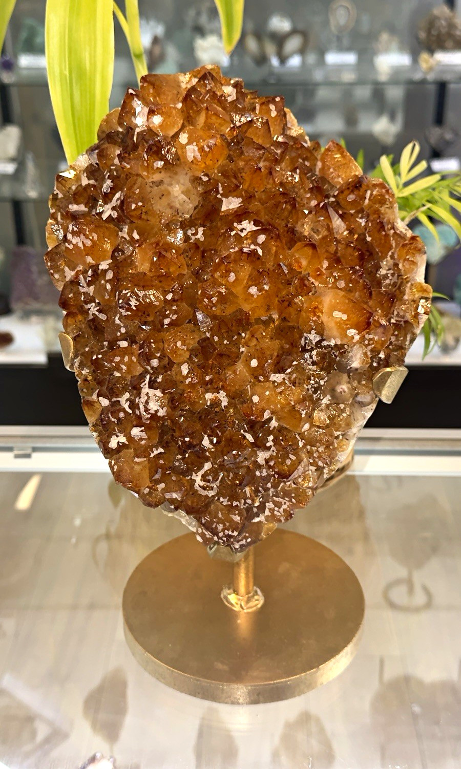 Citrine on Stand from Brazil 🇧🇷
