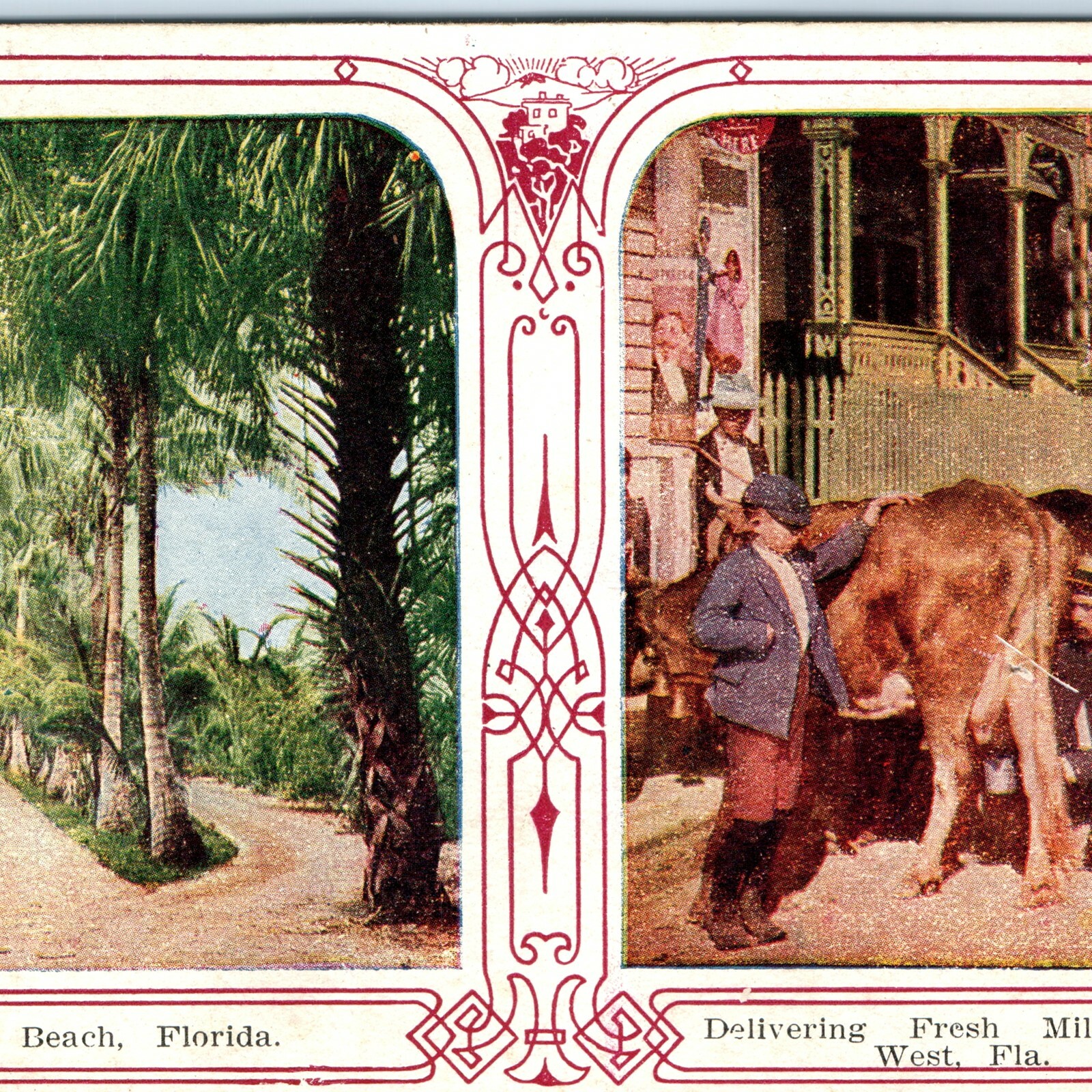 c1900s Key West FL Fresh Milk Delivery Cow Palm Beach Florida Litho Postcard c1900s Key West FL Fresh Milk Delivery Cow Palm Beach Florida Litho Postcard