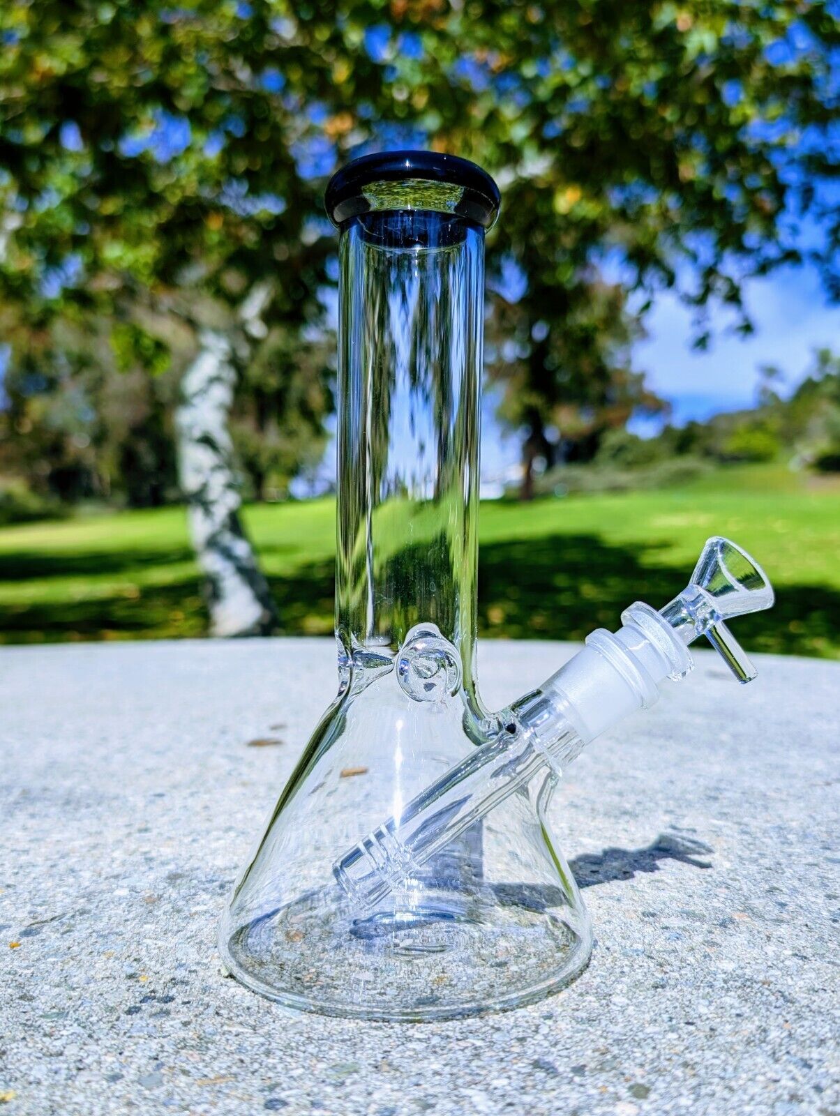 8 Inch Black Beaker Premium Quality Glass Bong Tobacco Smoking Water Pipe Hookah