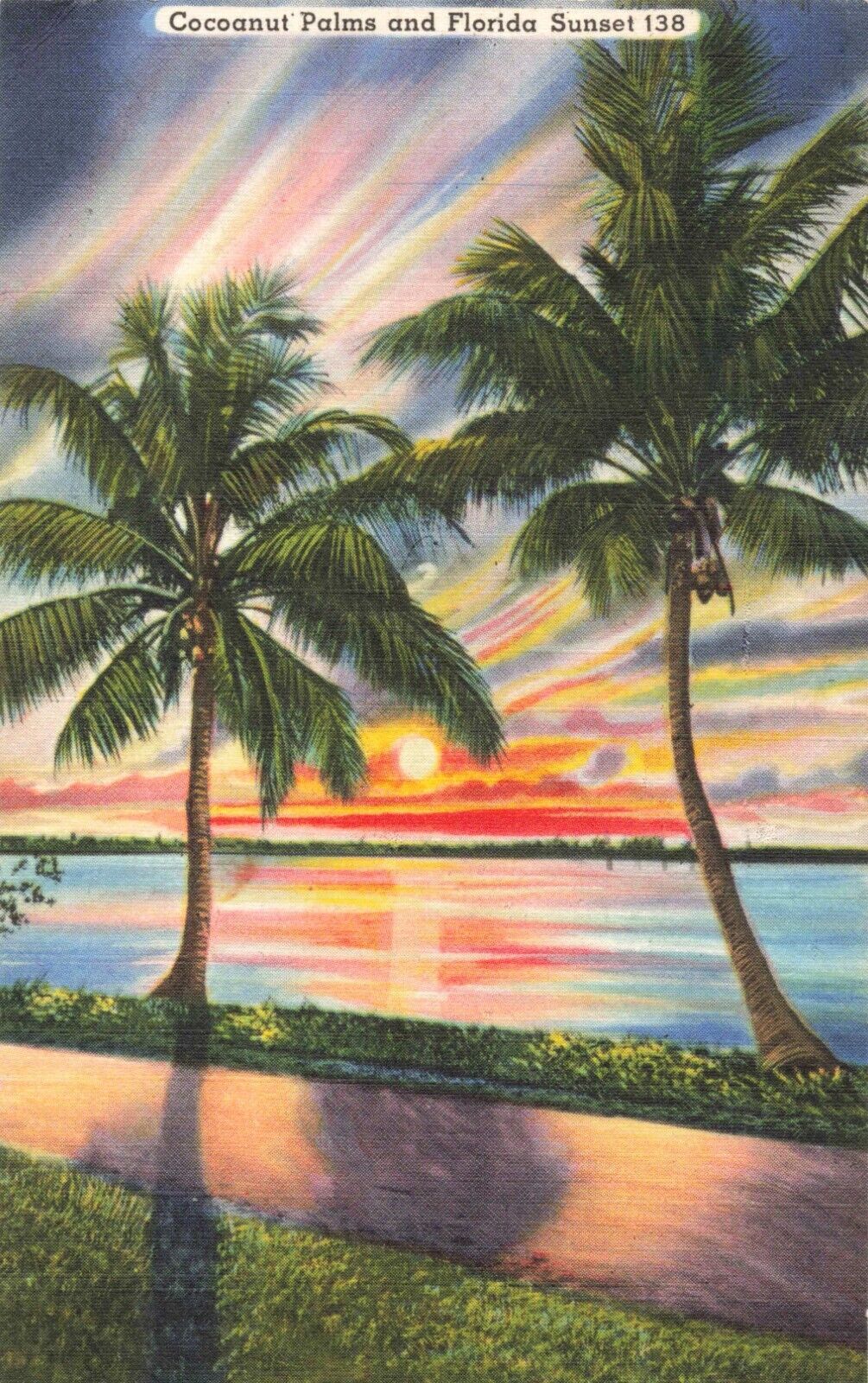 Eustis FL Florida, Cocoanut Palms & Beautiful Sunset, Coconuts, Vintage Postcard