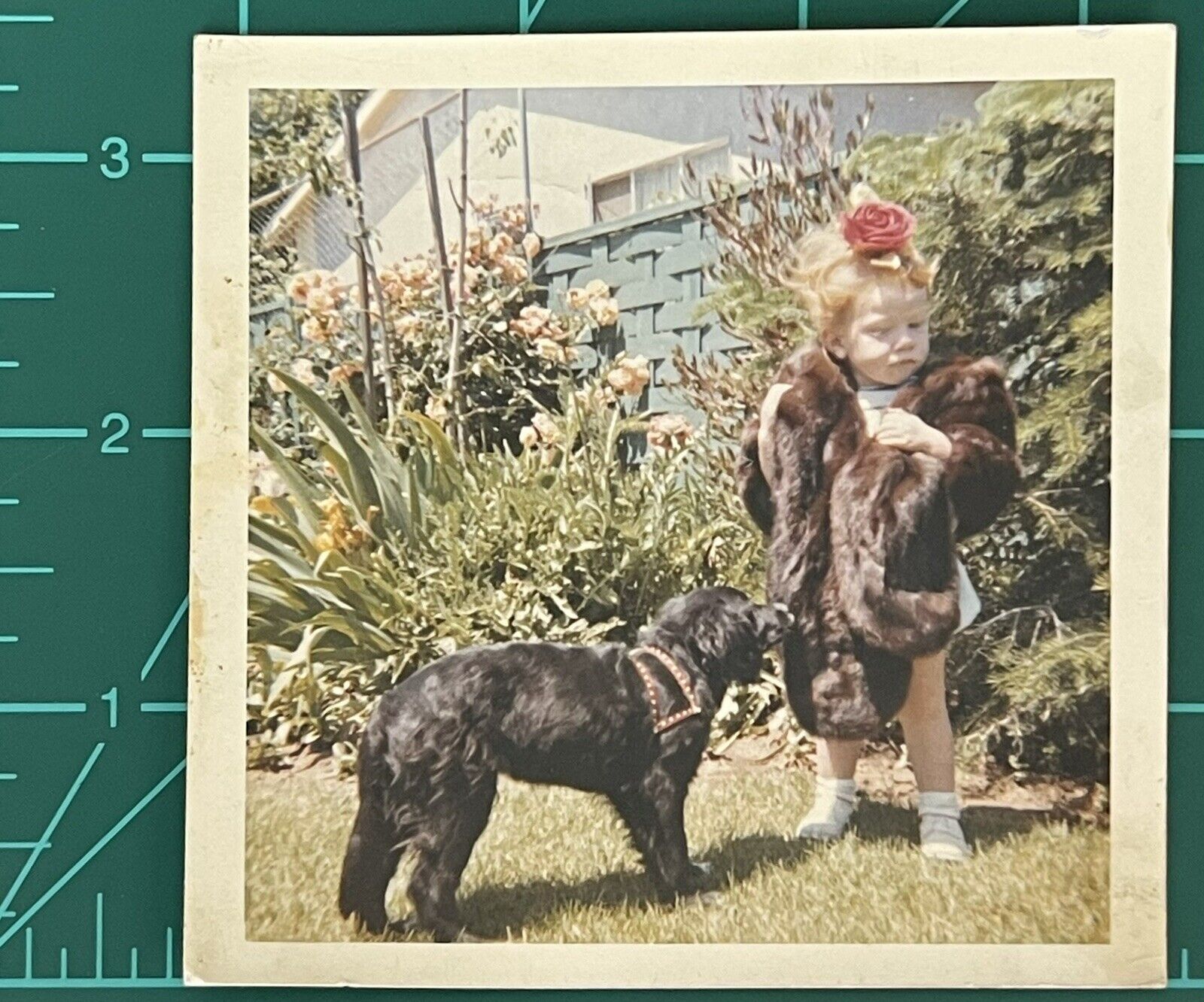 Vintage Photo Color Snapshot Adorable Little Girl With Her Puppy Dog