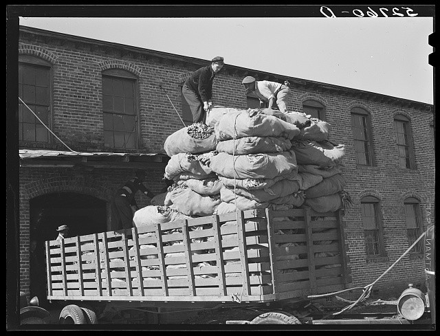 Photo:Wendell North Carolina 1939 Tobacco Stem Plant Loading Truck Workers