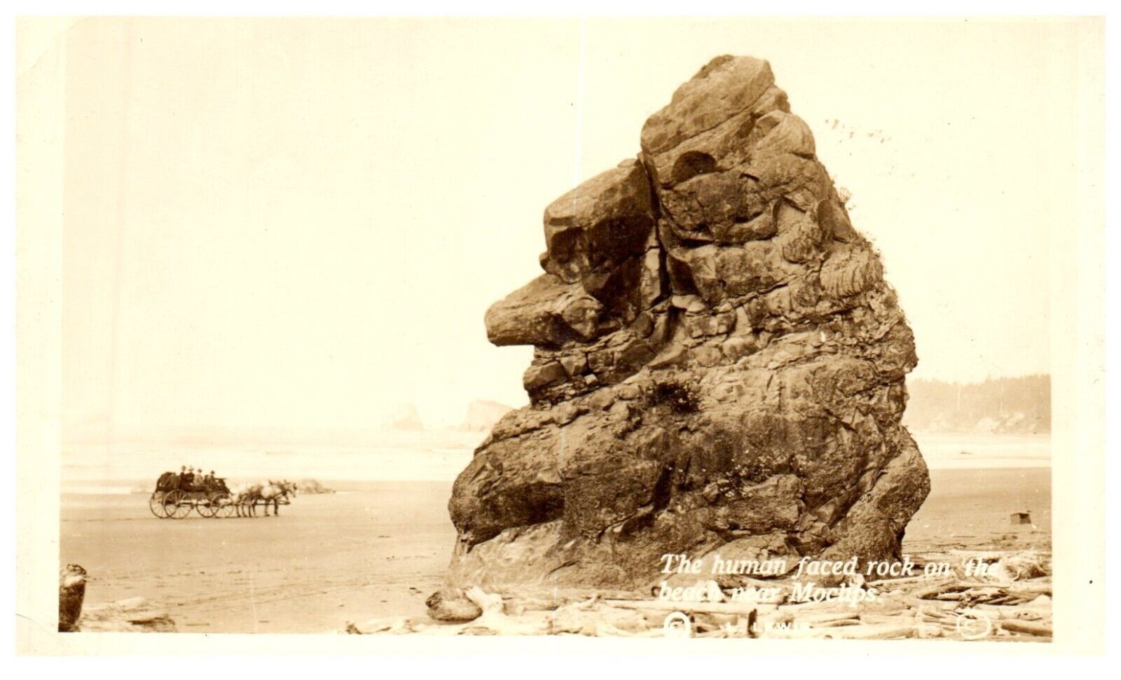 Moclips Washington Human Faced Rock Beach Horse Wagon RPPC Postcard c.1910 Lewis