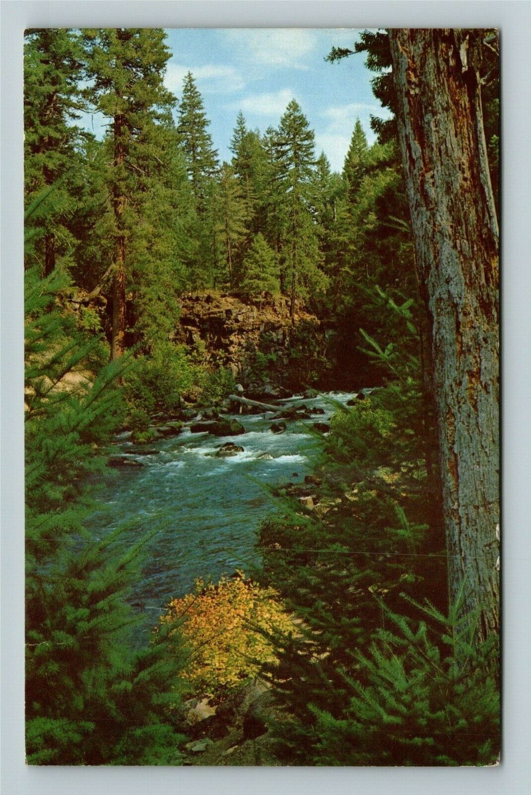 Rogue River OR-Oregon, Scenic River Views and Forest, c1965Postcard