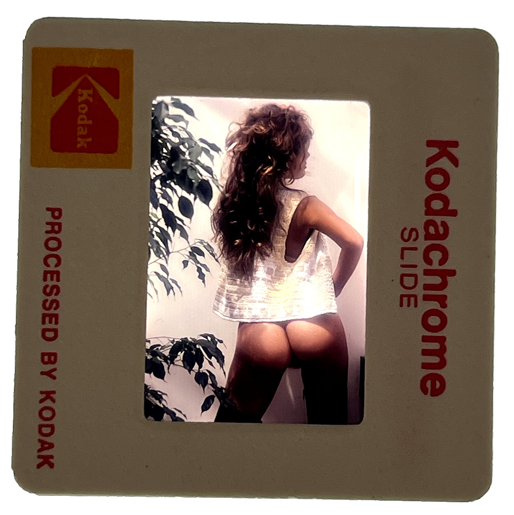 1982 Vintage Original 35MM Slide Corinne Alphen Penthouse Magazine