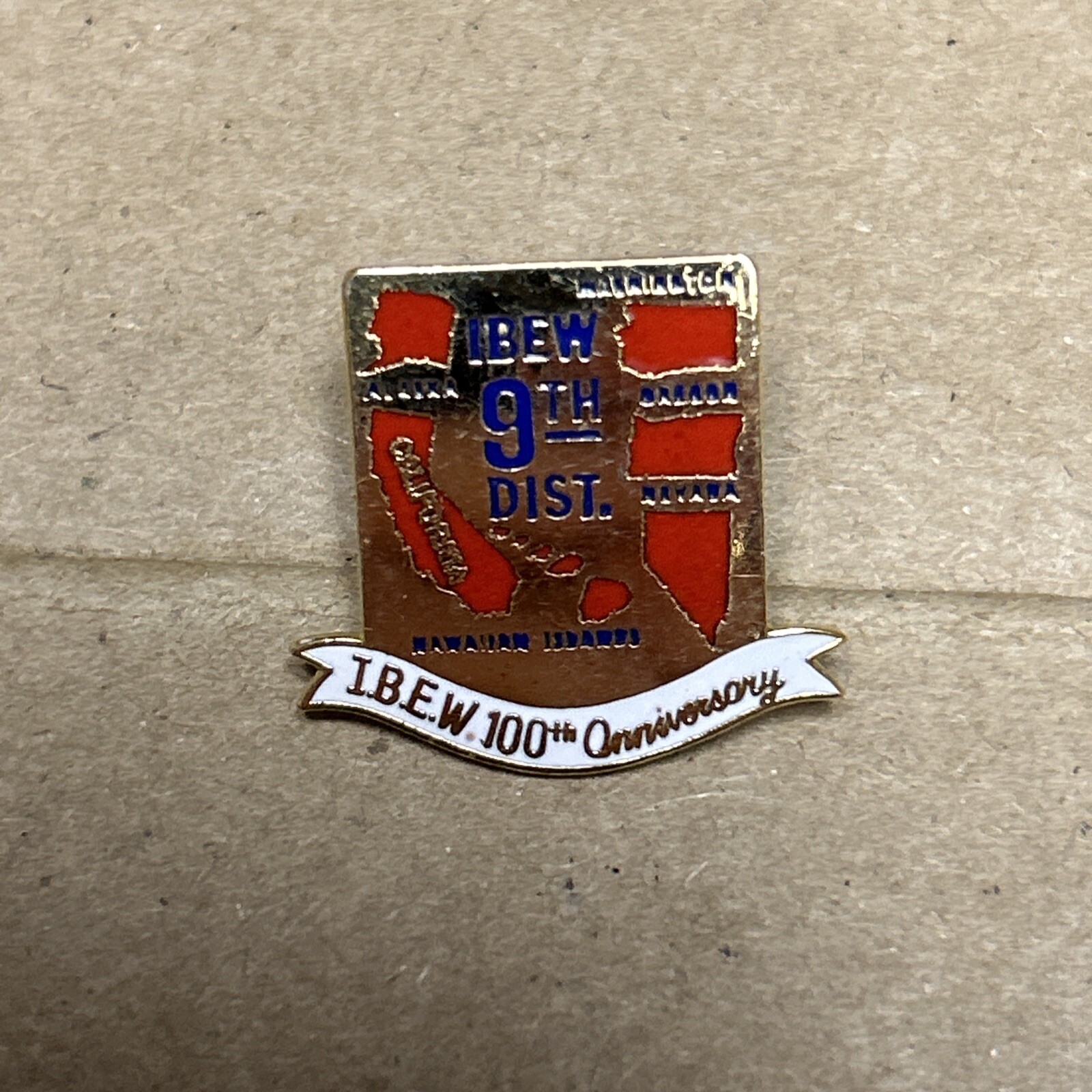 VINTAGE IBEW LOCAL LAPEL PIN UNION LU  9th DISTRICT  100 years