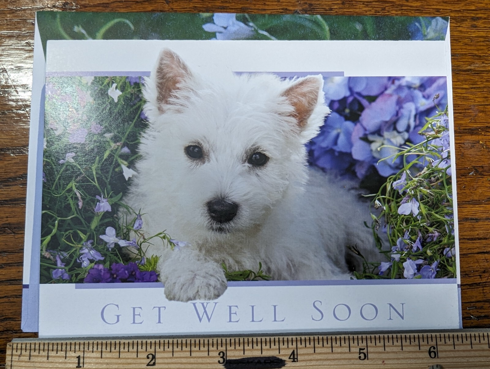 West Highland White Terrier Dog Westie Get Well Soon Puppy Floral Greeting Card West Highland White Terrier Dog Westie Get Well Soon Puppy Floral Greeting Card
