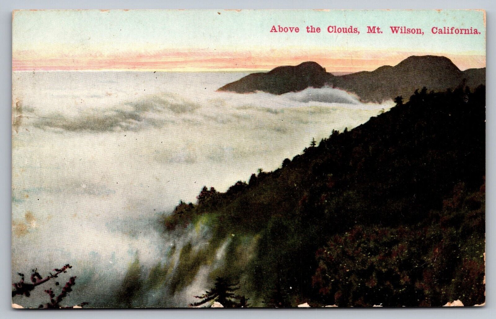 Above the Clouds Mt. Wilson California — Antique Postcard c. 1912