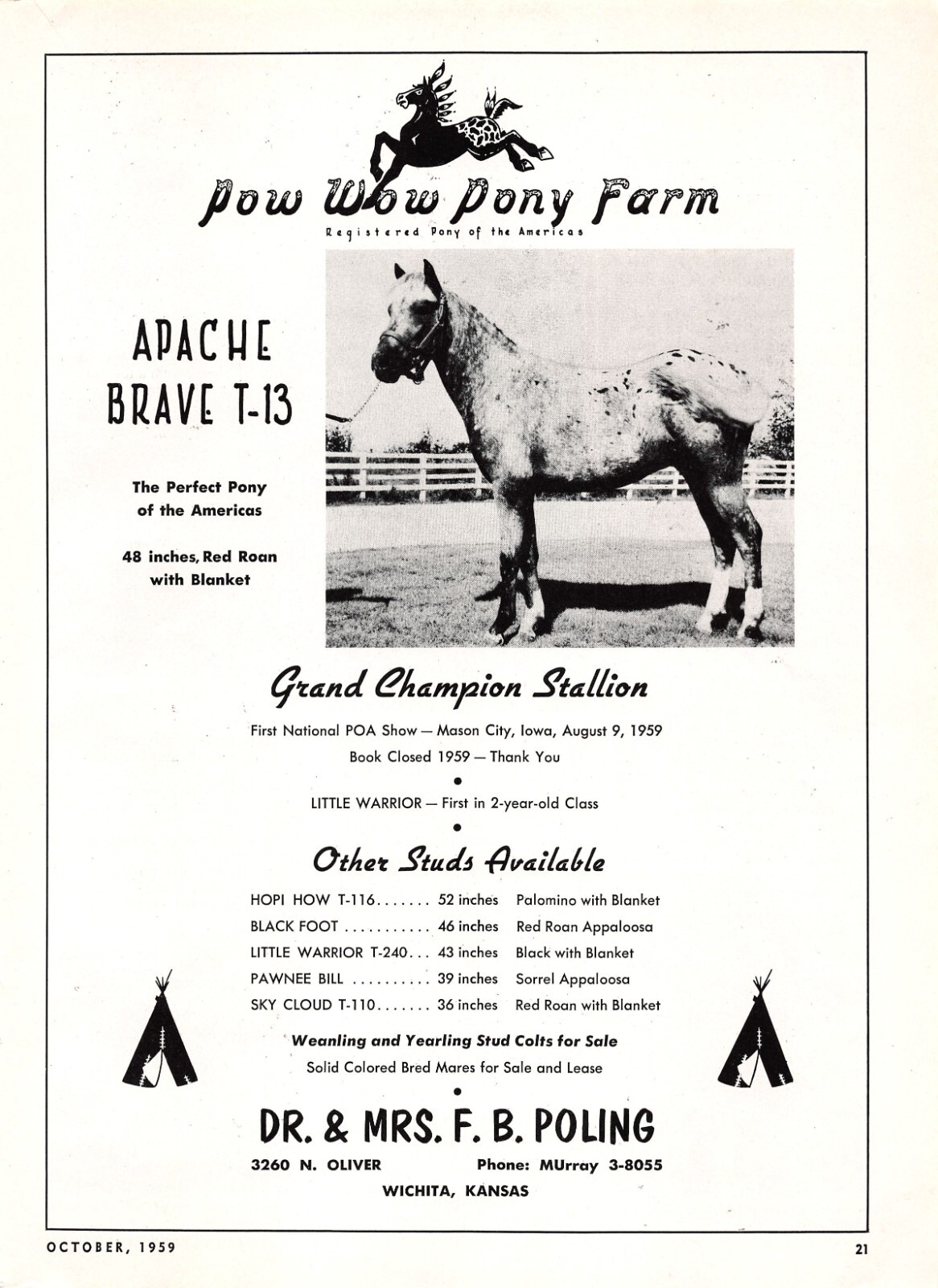Dr & Mrs F B Poling Pow Wow Pony Farm Apache Brave T-13 Wichita KS Mag Print Ad Dr & Mrs F B Poling Pow Wow Pony Farm Apache Brave T-13 Wichita KS Mag Print Ad