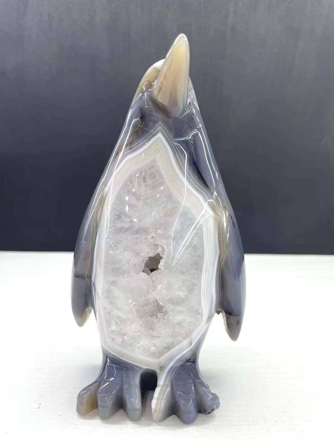 1pc Natural Agate Geode Quartz Carved Penguin Skull Crystal Reiki Healing Gem
