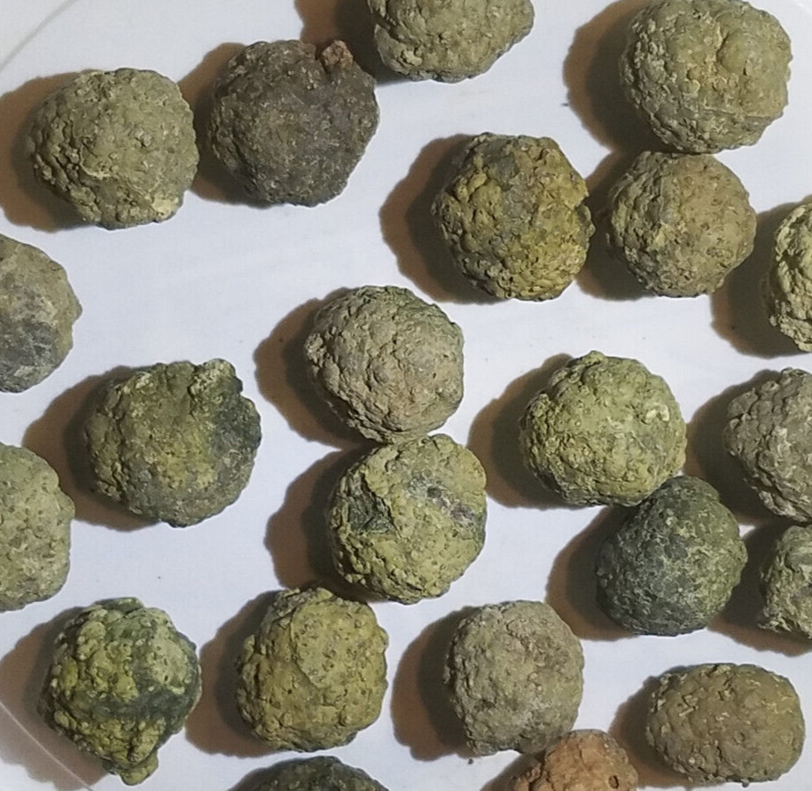 Each 1-lb LOT = 10 to 16 Oregon Thunderegg Rough Rocks JoNGD:#LapidaryGeMGeode
