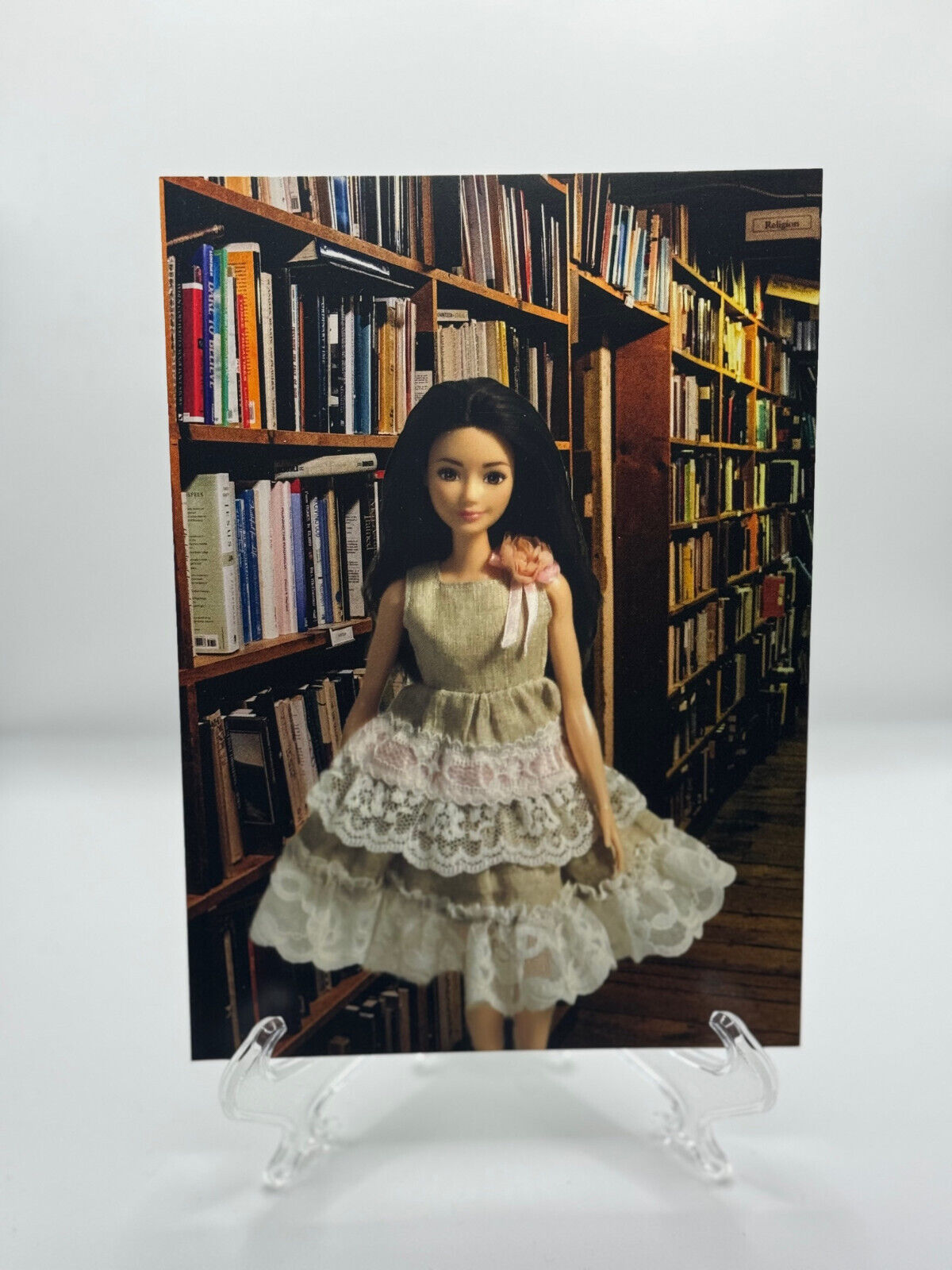 Brand New Barbie Fashionista at the Library Art Print/Postcard
