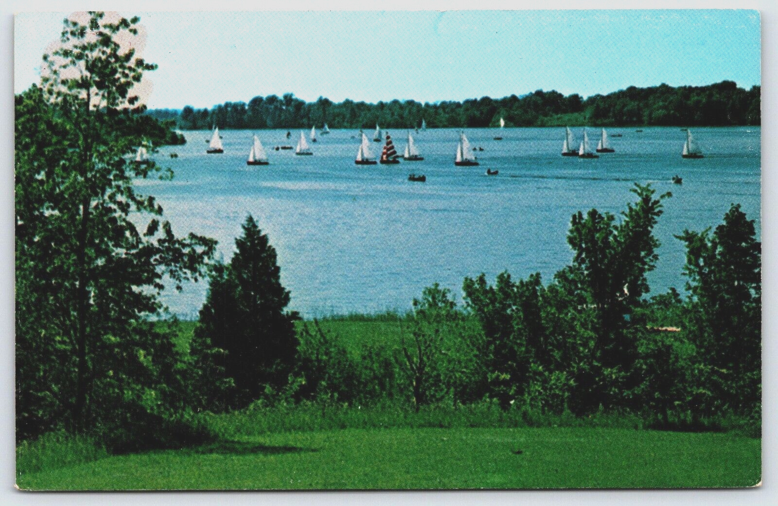 Sailboats Cowan Lake Sailing Association Regatta Wilmington Ohio OH Postcard B29