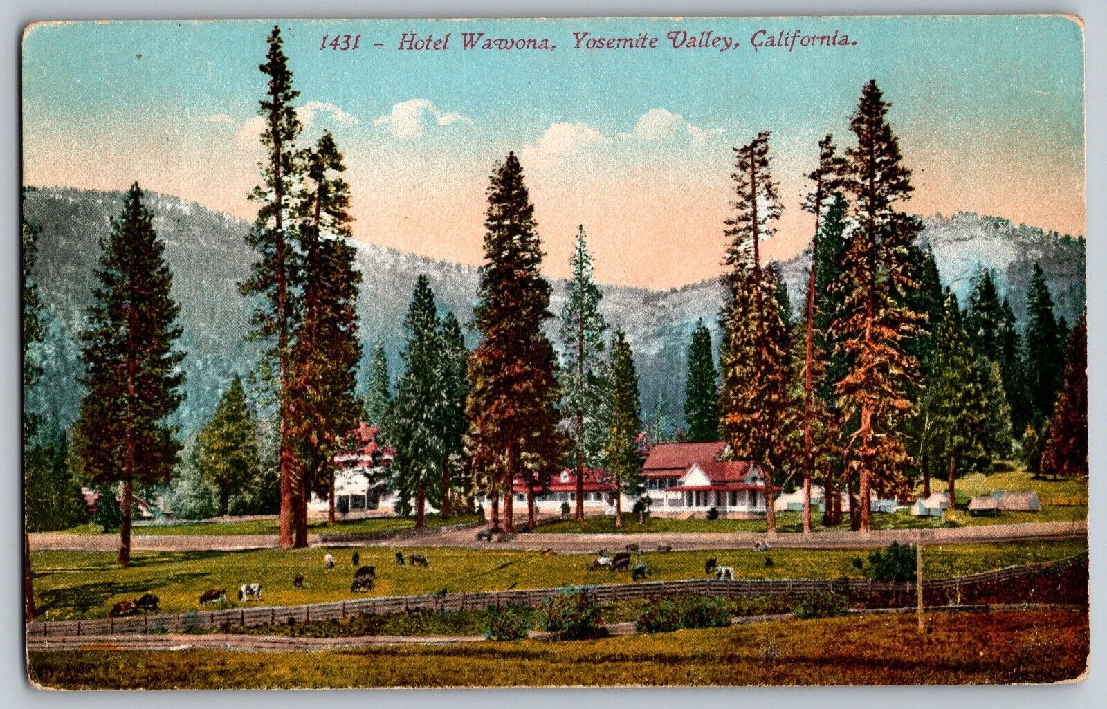 California CA - Hotel Wawona - Yosemite Valley - Vintage Postcard - Unposted