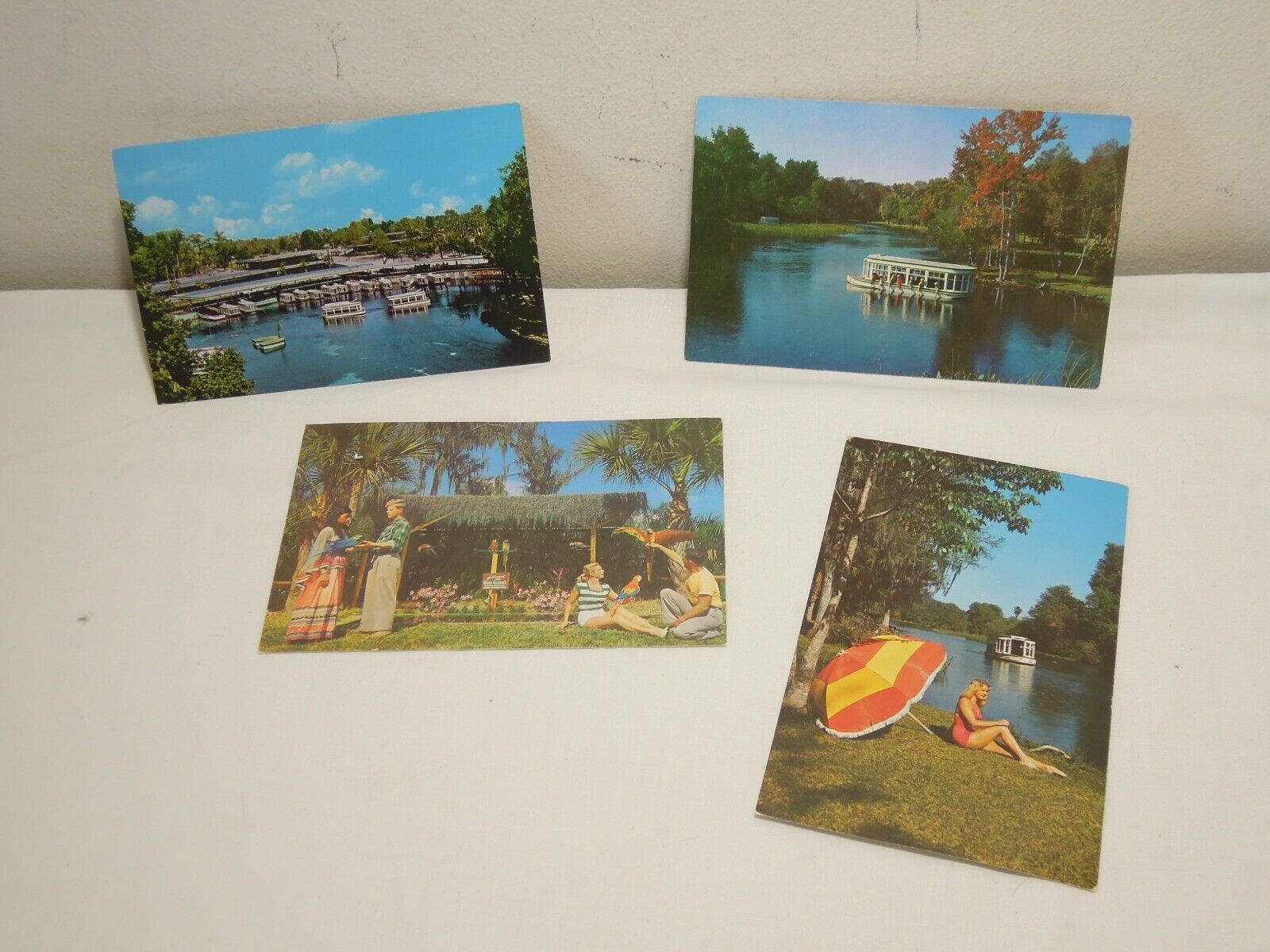 4 Silver Springs FL chrome postcards views