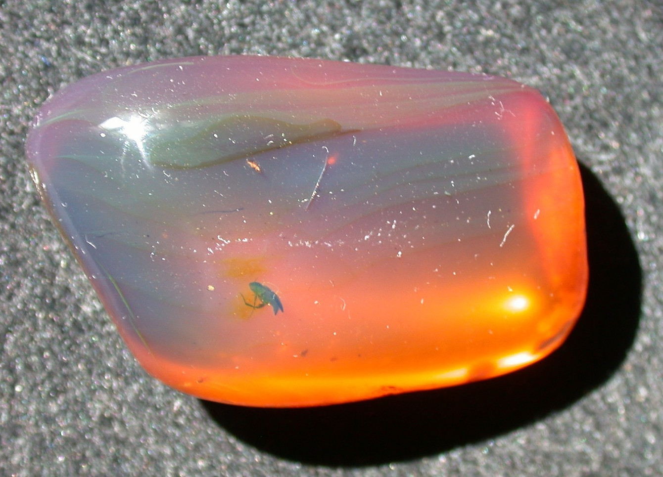 Beautiful Blue Pink Burmese Amber Fossil with Insects Dinosaur Age Large 16.8 g