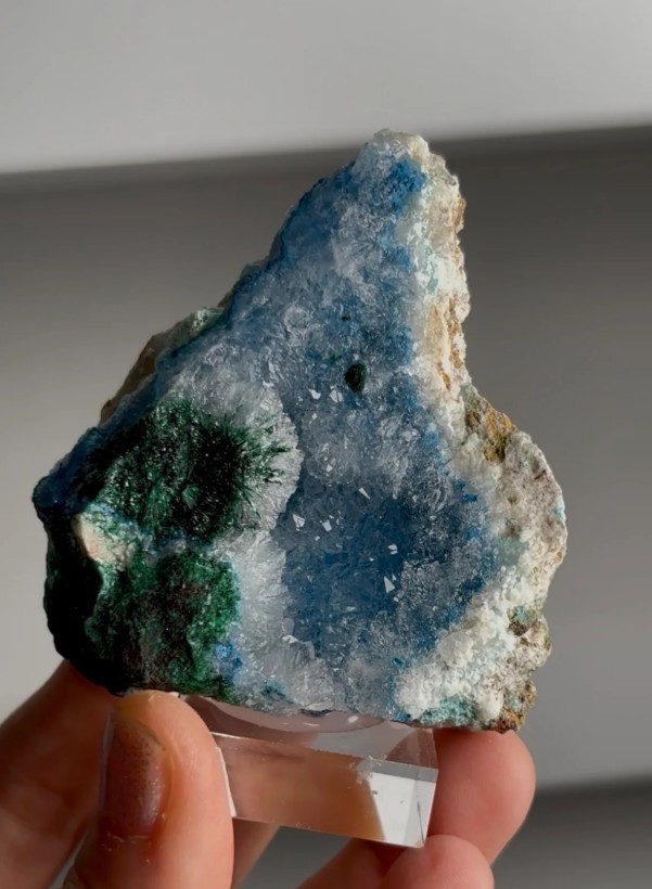 Beautiful Blue Shattuckite with Quartz & Malachite – Namibia Beautiful Blue Shattuckite with Quartz & Malachite – Namibia