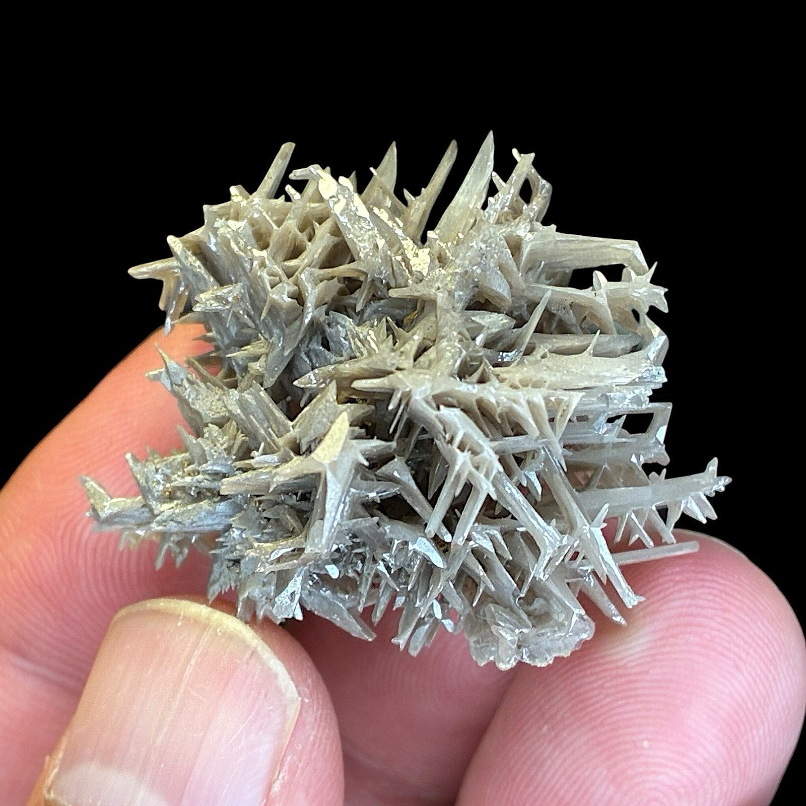 Cerussite Crystal Cluster on Galena Matrix Natural rare Mineral Display Specimen