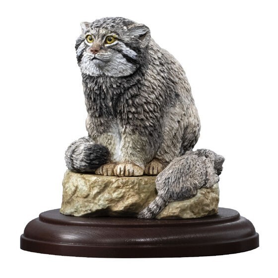 Bandai Gashapon Display Model Collection Figure Wild Felines Pallas\'s Cat Manul