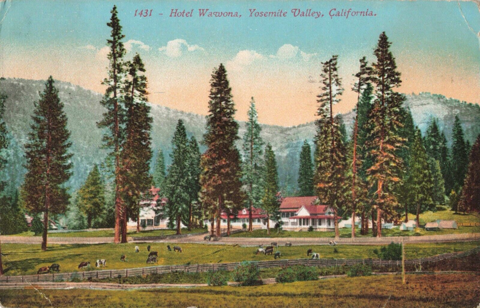 Hotel Wawona Yosemite Valley California CA 1916 Postcard