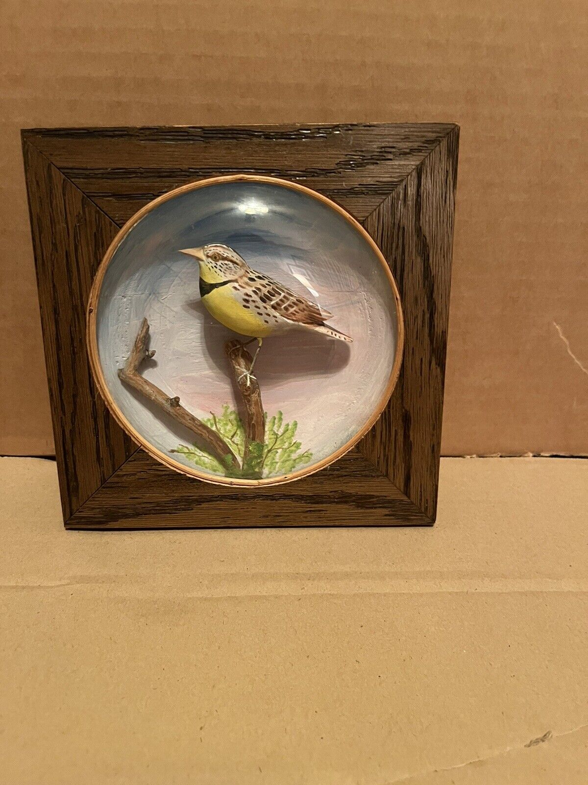 Vintage Original Handcrafted Wooden meadow Lark Bird Framed Convex Glass Diorama