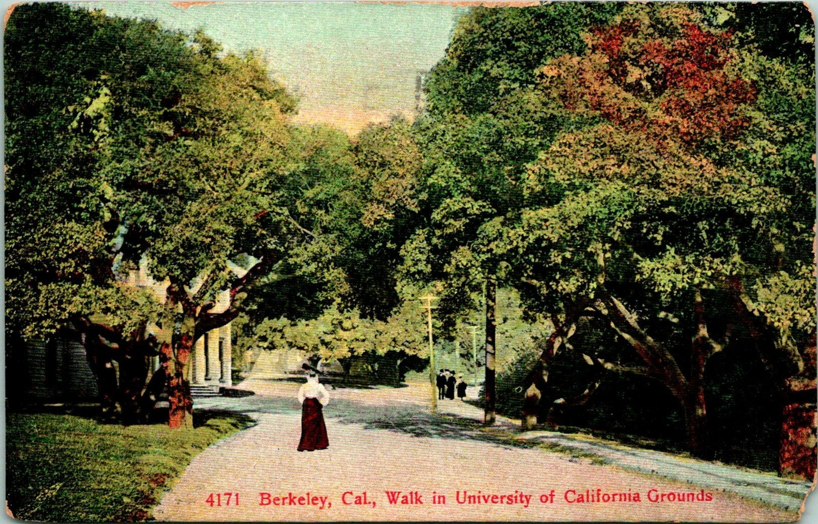 Berkeley CA Walk in University Grounds Postcard Used (35097) Berkeley CA Walk in University Grounds Postcard Used (35097)