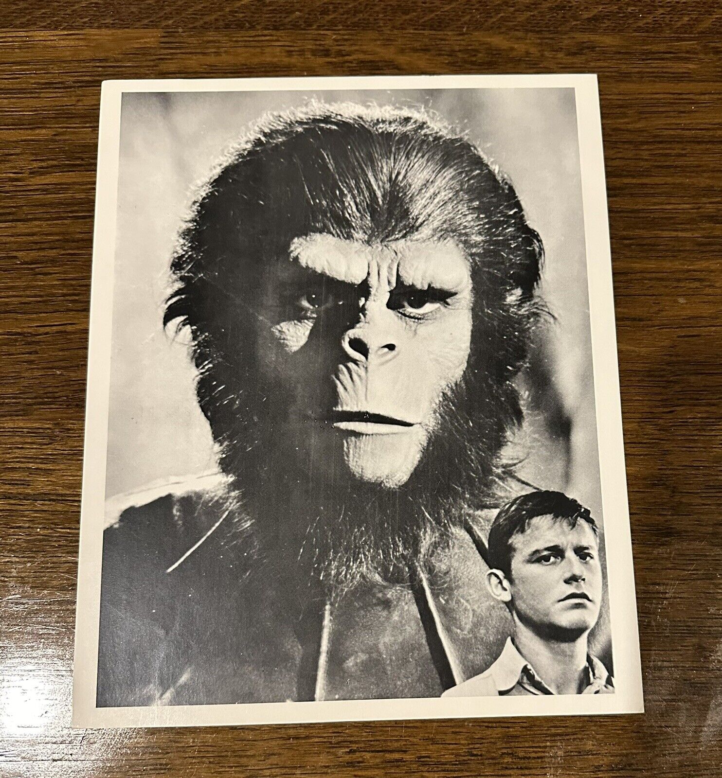 Roddy McDowall Planet of the Apes (1968)—Vintage Photograph 8 X 10 Black & White