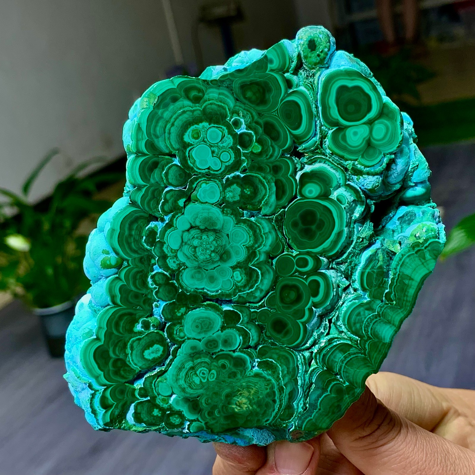 1.79LB Natural glossy Malachite transparent crystal rough mineral sample healing