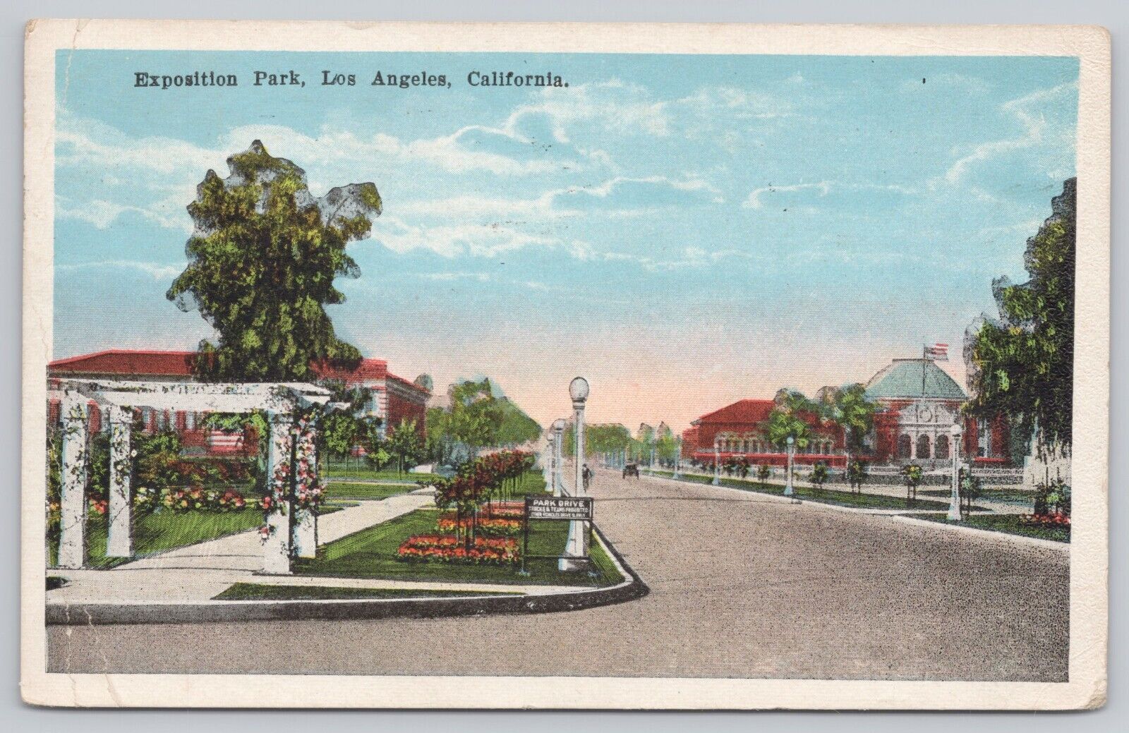 Los Angeles California, Exposition Park, Vintage Postcard