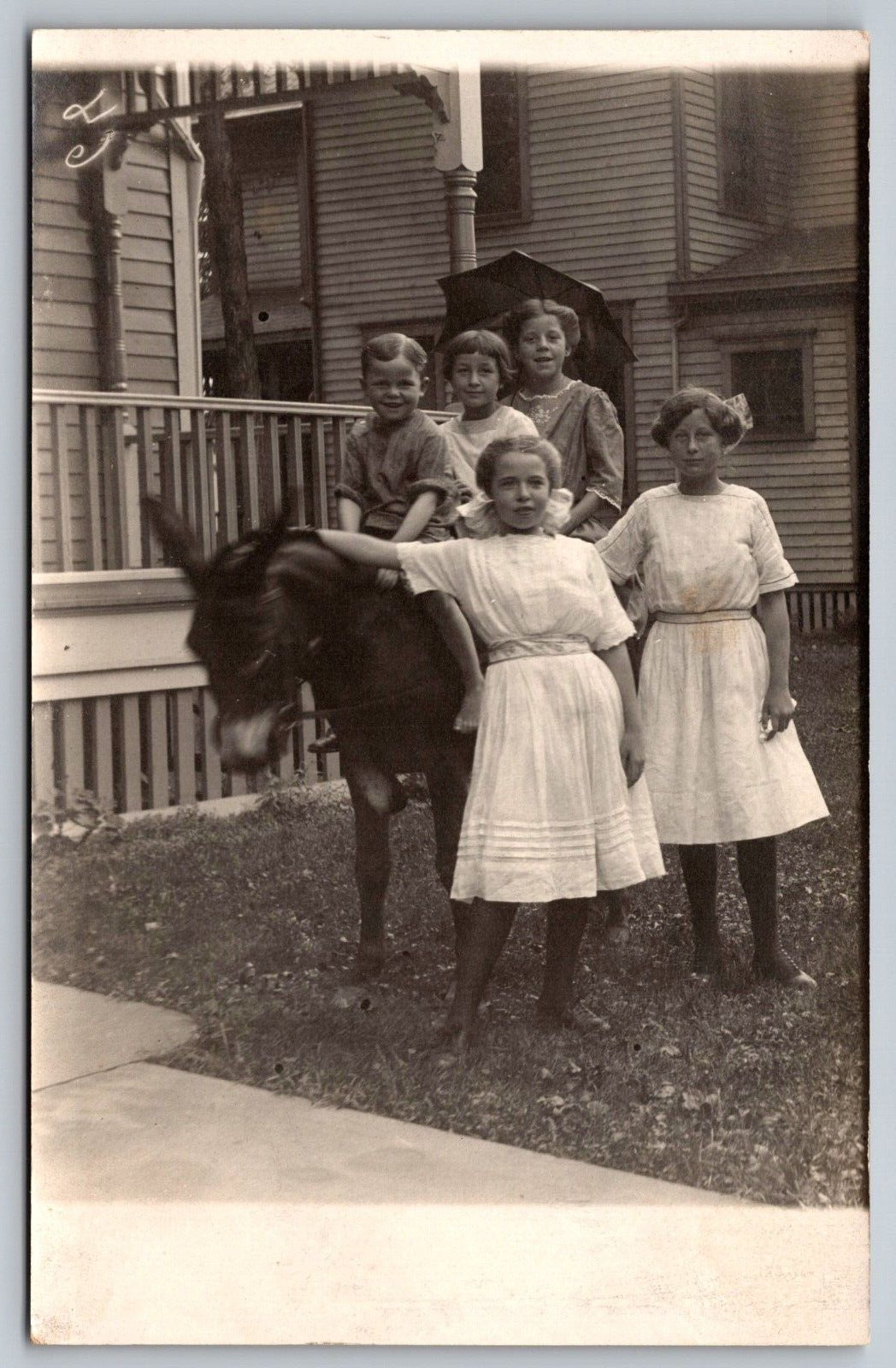 Postcard RPPC c1915 5 Children with Donkey Nice Condition A13