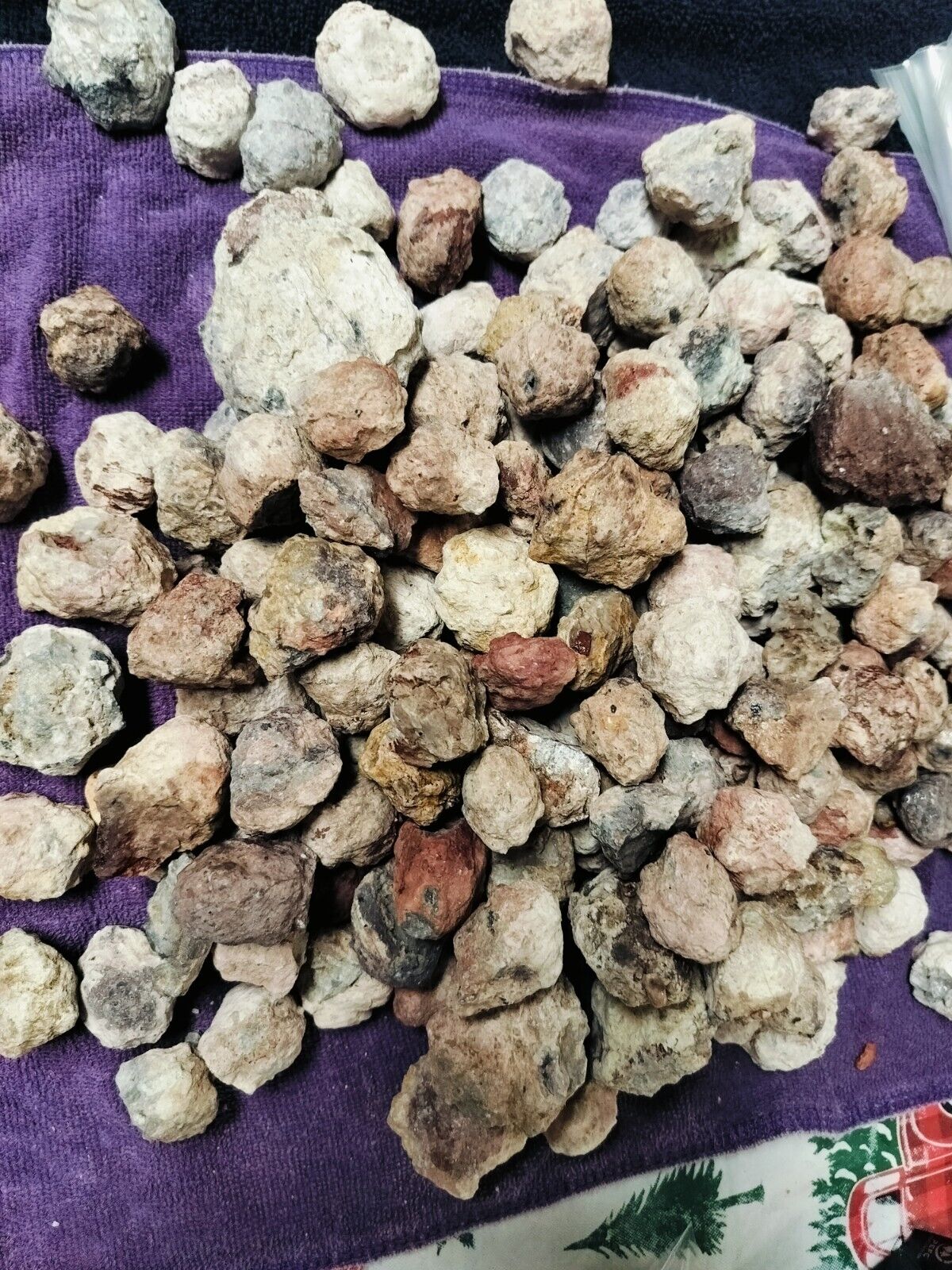 Lot Of 15 Small Unopened Amethyst Geodes From Quartzsite
