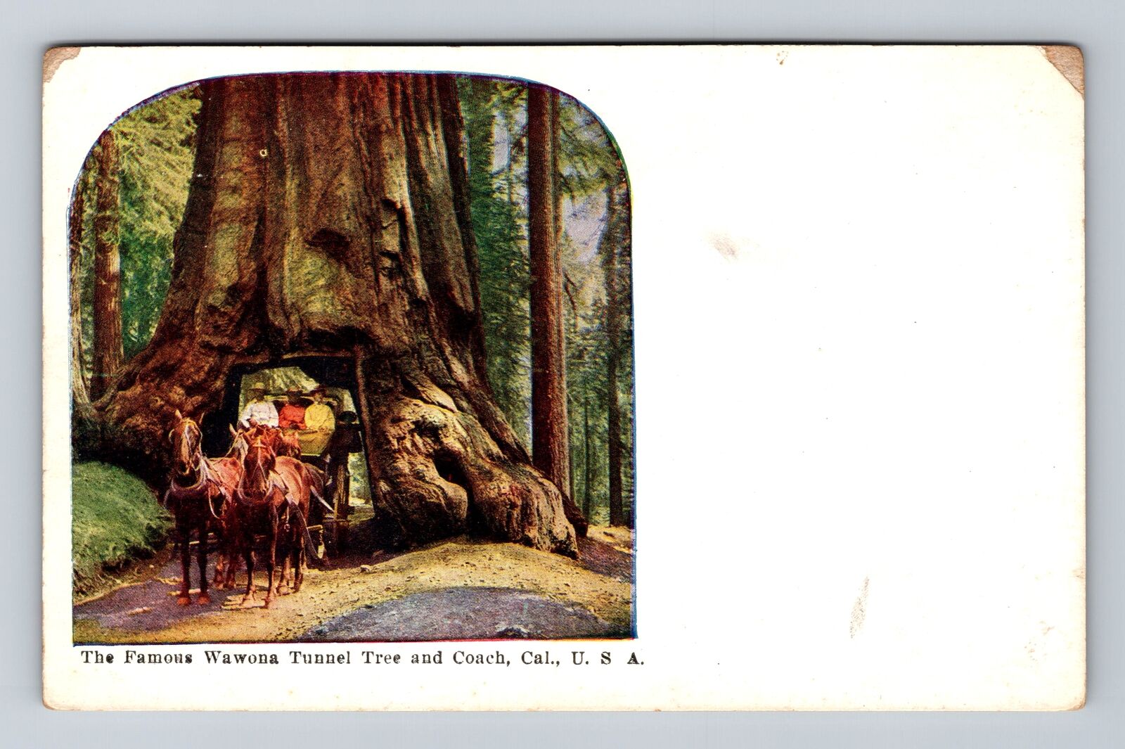 CA-California, Famous Wawona Tunnel Tree And Coach, Antique, Vintage Postcard