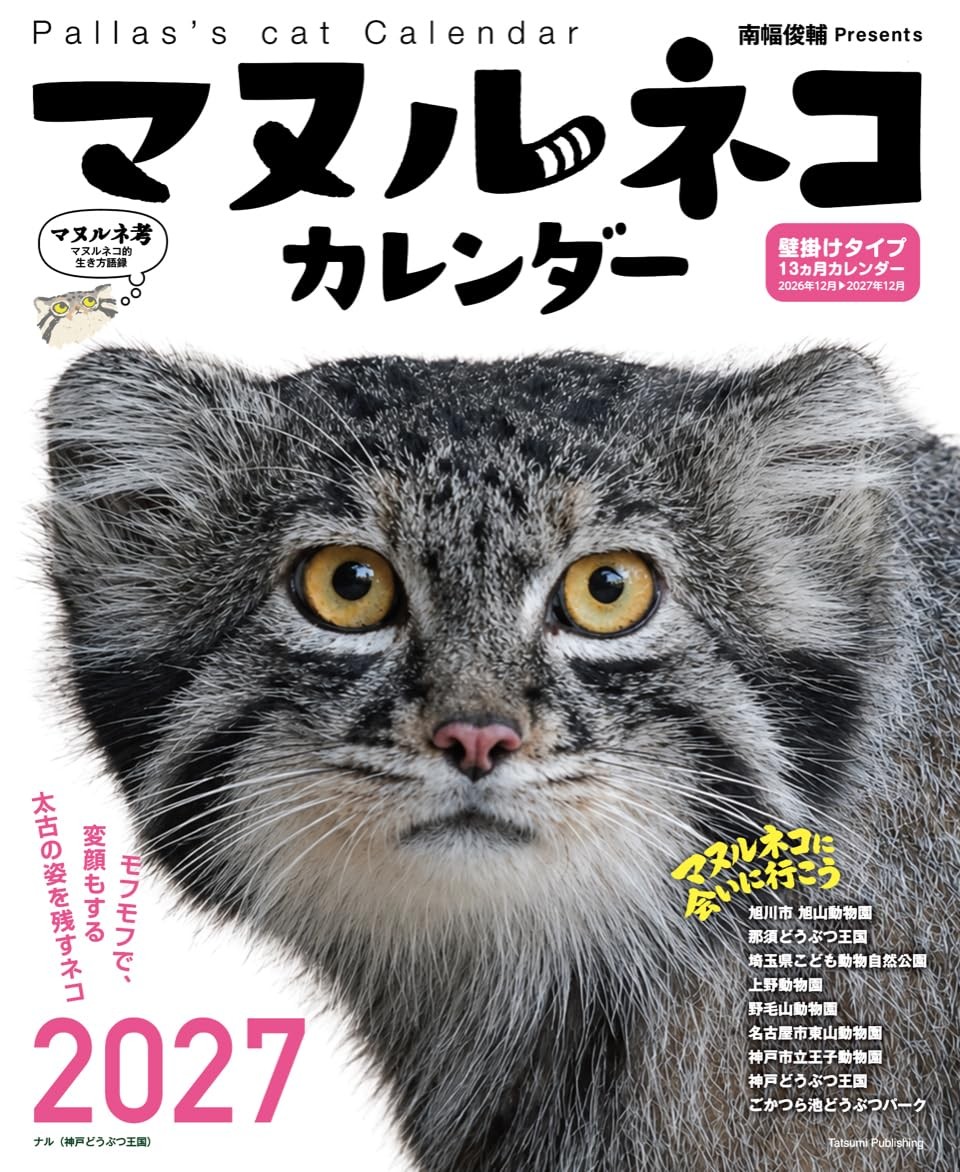 2027 Pallas Cat Calendar Cute Animal Photography Japanese Style Wall Calendar