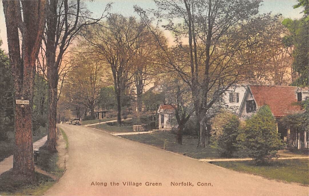 NORFOLK, CT ~ HOMES ALONG VILLAGE GREEN ROAD, GEO. T. JOHNSON, PUB ~ c 1910s-20s