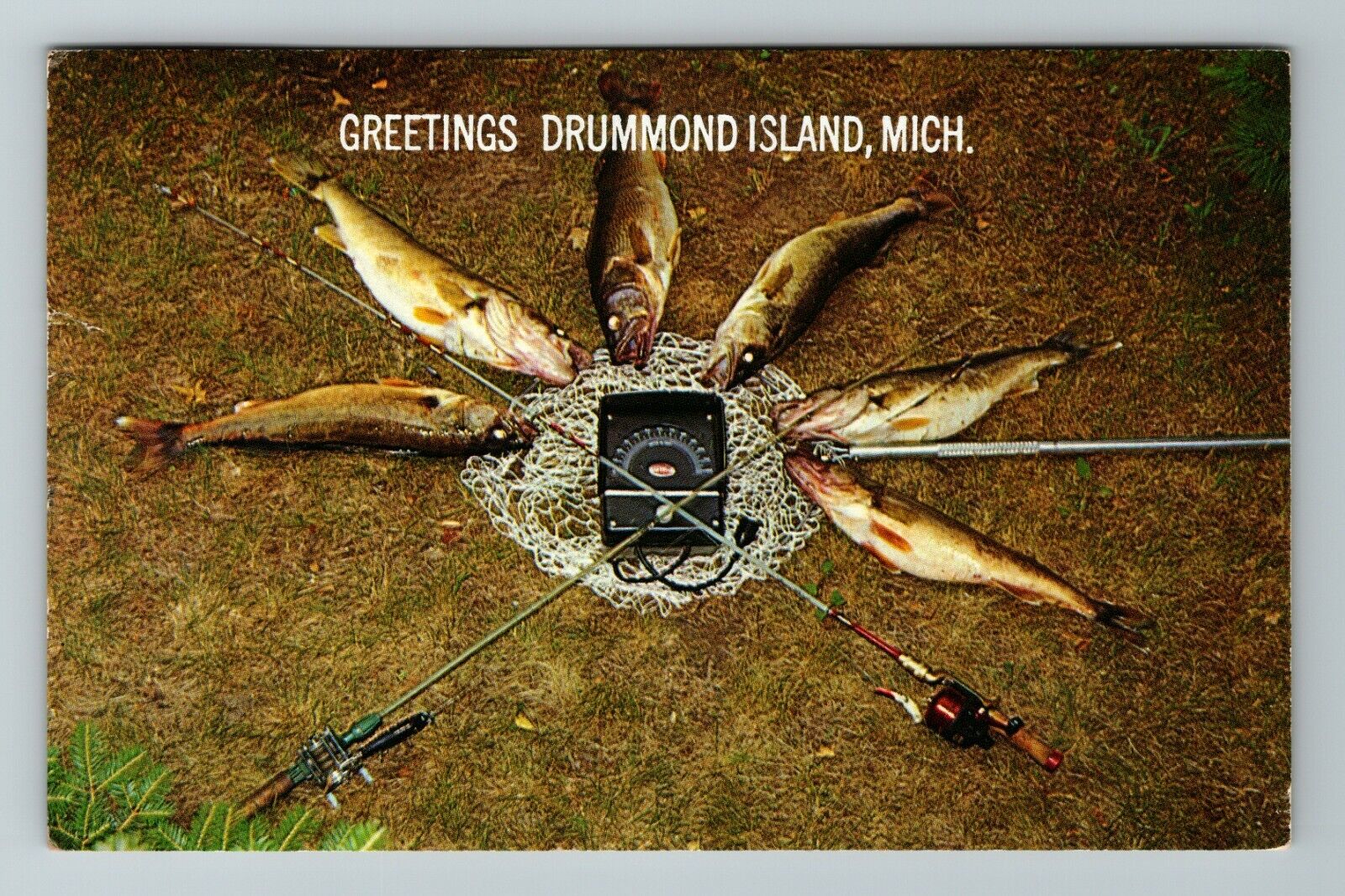 Drummond Island MI-Michigan, General Greetings, Fishes, Vintage Postcard
